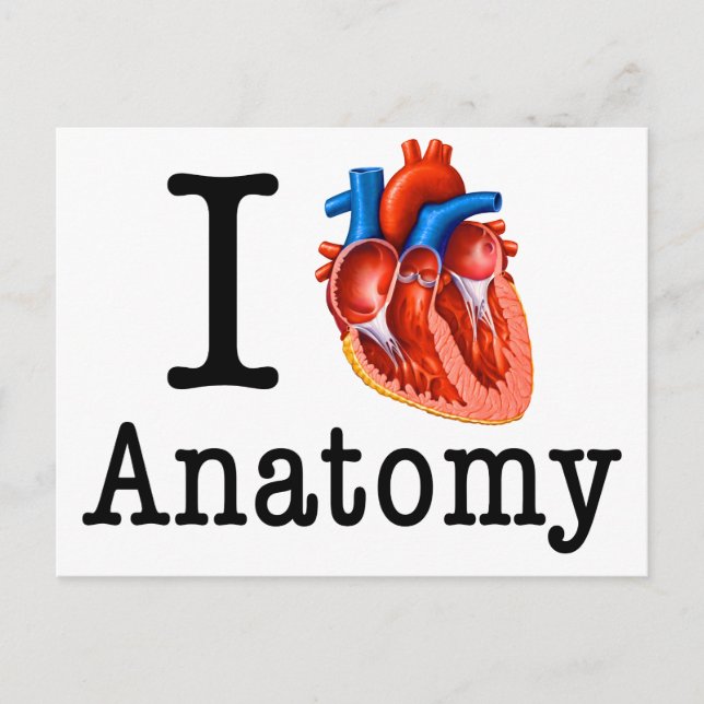 Postal Me encanta la anatomía (Anverso)