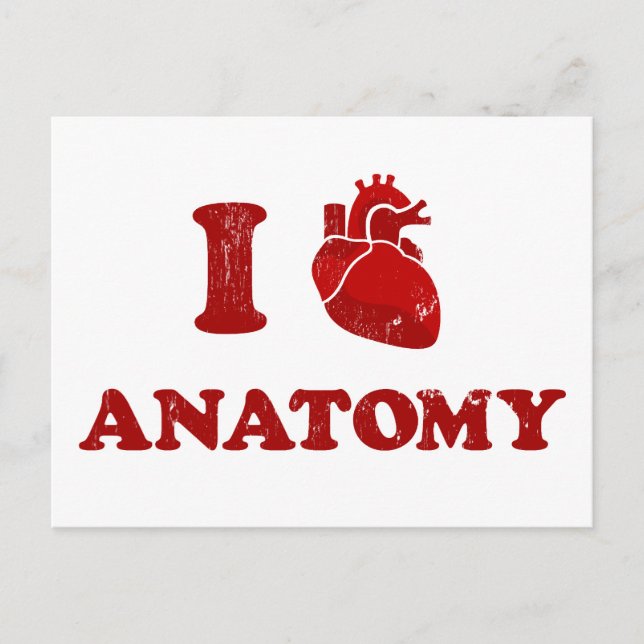 Postal me encanta la anatomía 2 (Anverso)