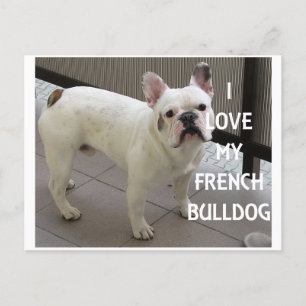 Postal Me encanta mi Bulldog francés