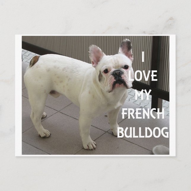 Postal Me encanta mi Bulldog francés (Anverso)