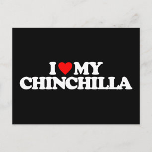 POSTAL ME ENCANTA MI CHINCHILLA