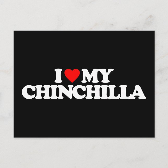 POSTAL ME ENCANTA MI CHINCHILLA (Anverso)