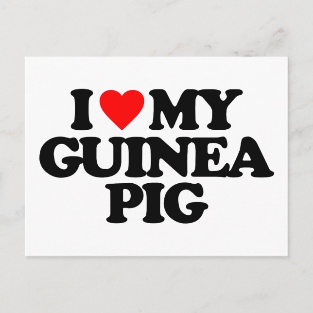 POSTAL ME ENCANTA MI GUINEA PIG (Anverso)