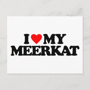 POSTAL ME ENCANTA MI MEERKAT