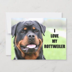 Postal Me encanta mi Rottweiler
