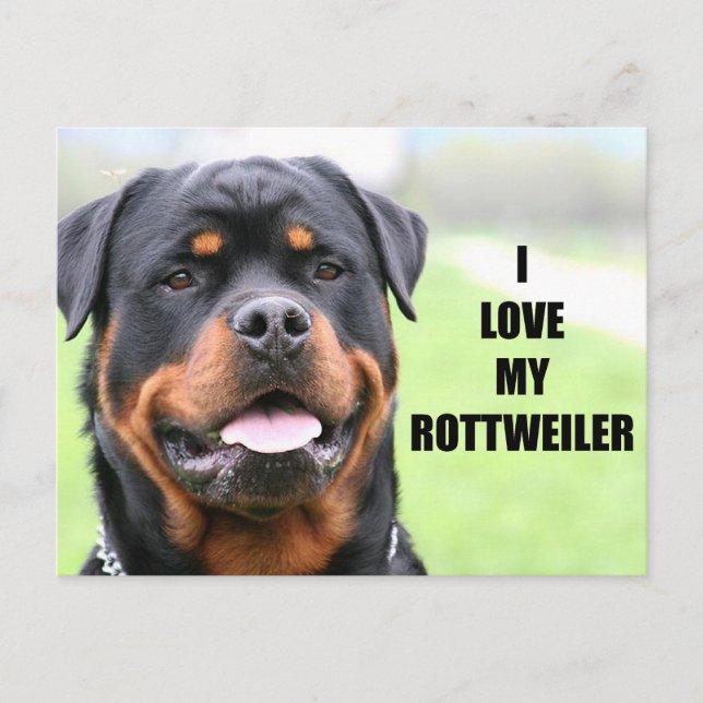Postal Me encanta mi Rottweiler (Anverso)