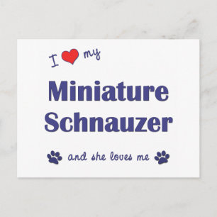 Postal Me Encanta Mi Schnauzer En Miniatura (Perro Femeni