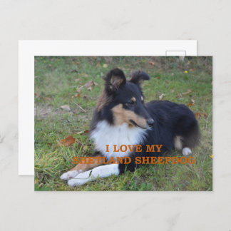 Postal Me encanta mi Shetland Sheepdog Black Tri