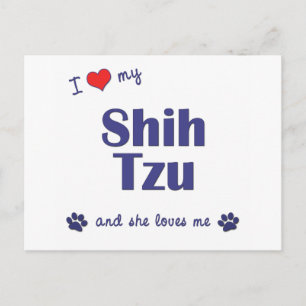 Postal Me Encanta Mi Shih Tzu (Perras)