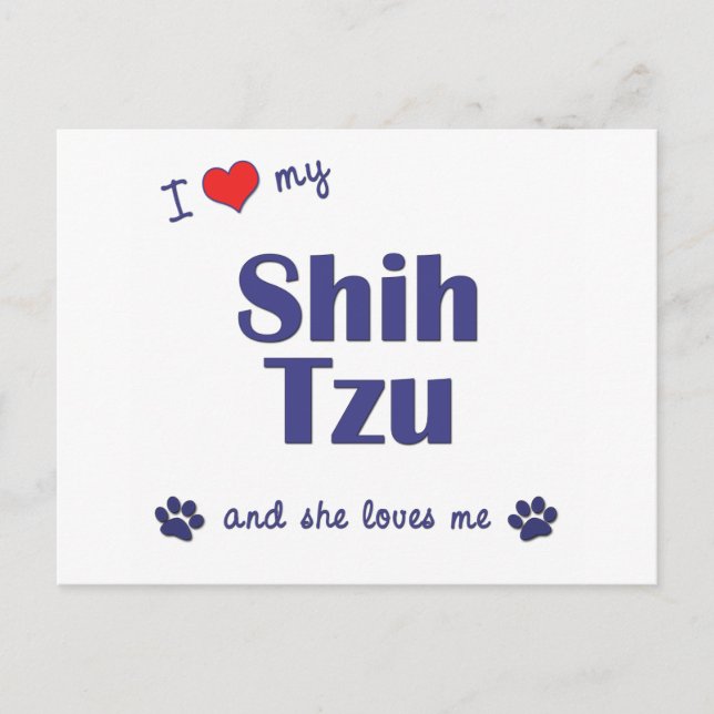 Postal Me Encanta Mi Shih Tzu (Perras) (Anverso)