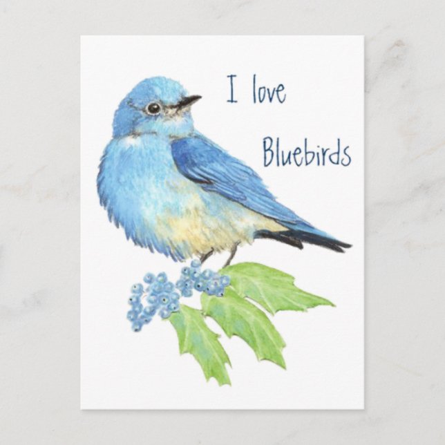 Postal Me encantan los Bluebirds, la colección de aves (Anverso)