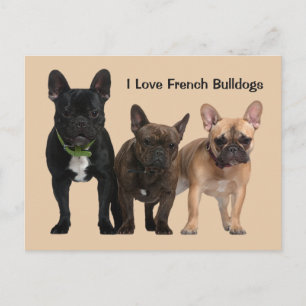 Postal Me encantan los Bulldoges franceses