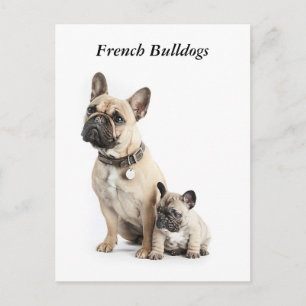 Postal Me encantan los Bulldoges franceses