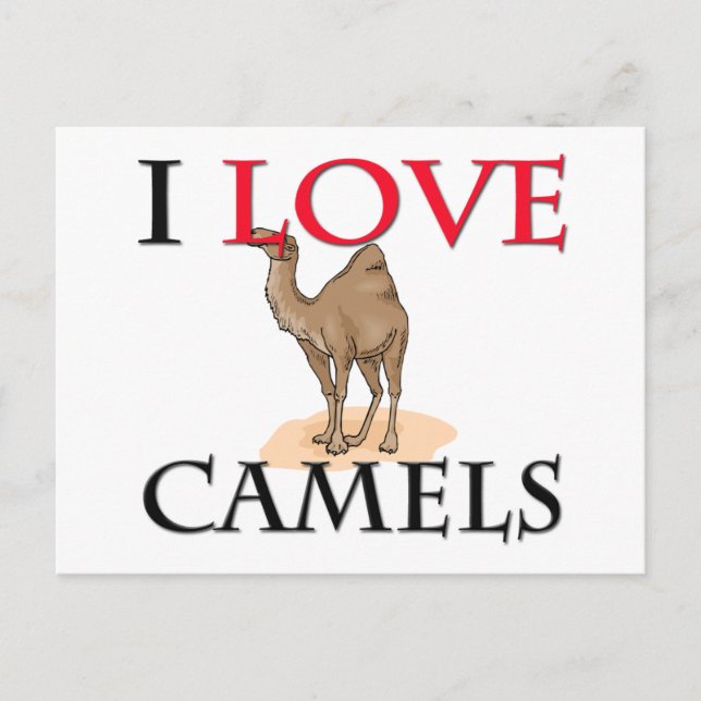 Postal Me encantan los camellos (Anverso)