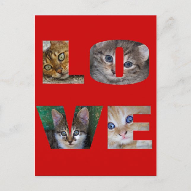 Postal Me encantan los gatos (Anverso)