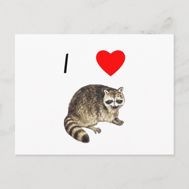 Postal Me encantan los mapaches (Anverso)