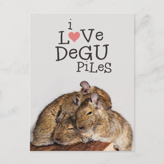 Postal Me Encanto Degu Piles (Anverso)