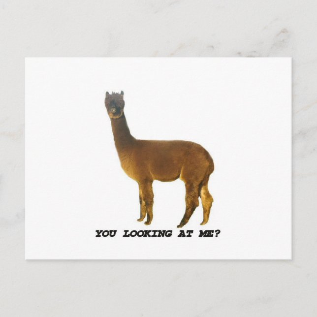 Postal ¿Me estás mirando? (Anverso)