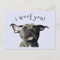 Me Gusta Que Cute Perro Negro Pitbull