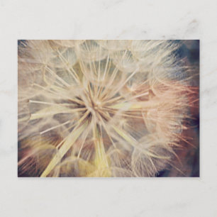 Postal Me Gustaría... - Postcard.