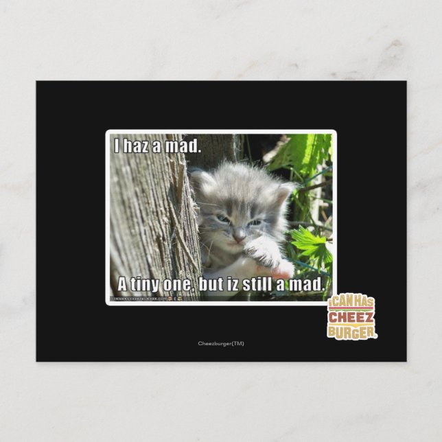 Postal Me he vuelto loco (Anverso)