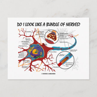 Postal ¿Me Parezco A Un Montón De Nervios? Sinapsis neuro