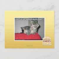 Me pedo en tu gen'ral direkshun