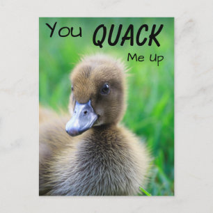 Postal Me Quackeas En El Ducado