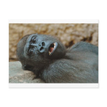 "Me siento tan somnoliento"