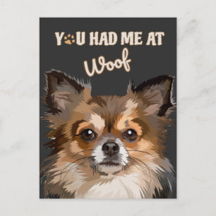 Postal Me Tenías En Woof   Perros Pomerania