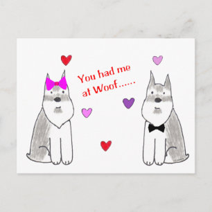 Postal Me Tenías En Woof Schnauzer