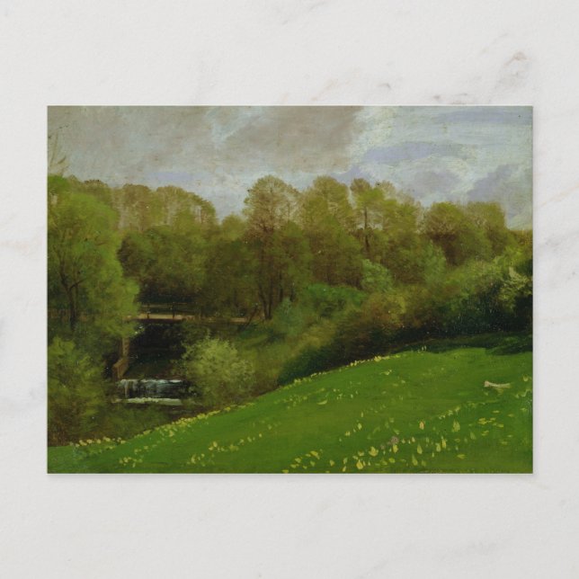 Postal Meadow and Woodland, 1895 (Anverso)