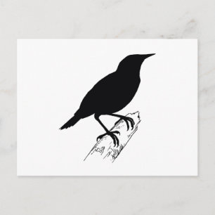 Postal Meadow Lark
