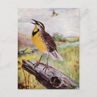 Postal Meadowlark en una sucursal