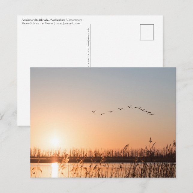 Postal Mecklenburg-Vorpommern (Anverso / Reverso)