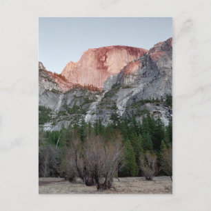 Postal Media Domo-Alenglow.