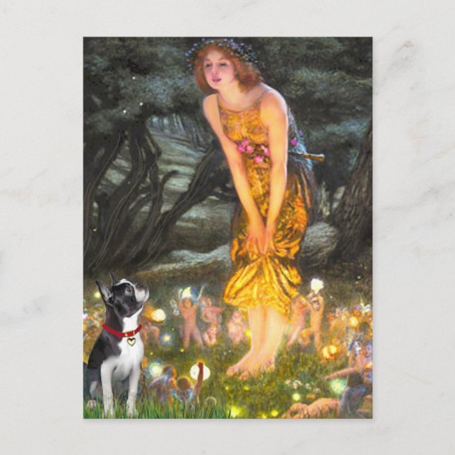 Postal Medianoche - Boston Terrier #2 (Anverso)