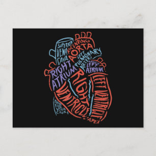 Postal Médica de Anatomía Especializada en el Corazón Bio