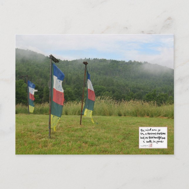 Postal Medición (Anverso)