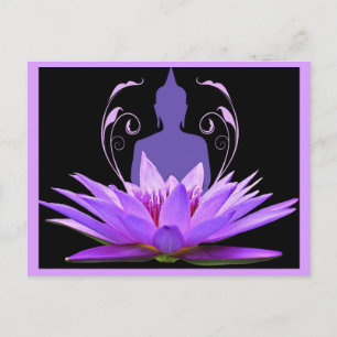 Postal Meditación de Flor de Loto Púrpura