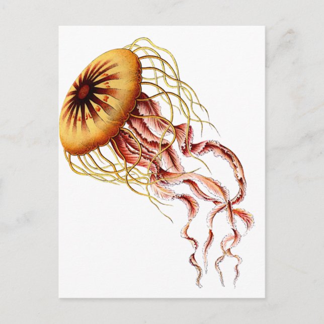 Postal medusa (Anverso)