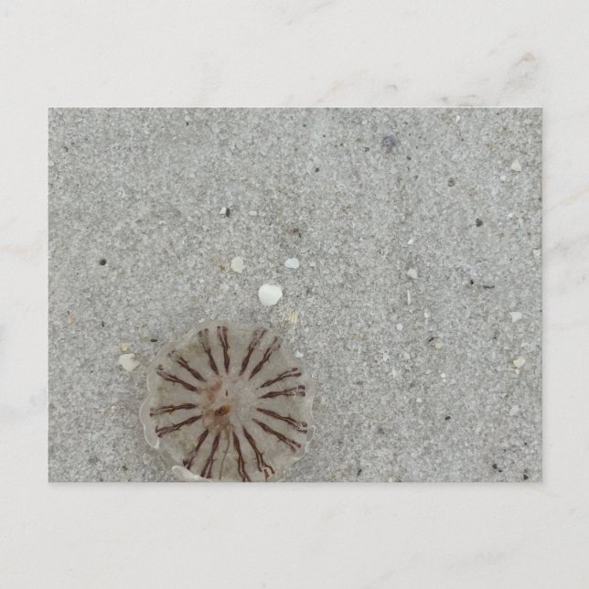 Postal Medusa  (Anverso)