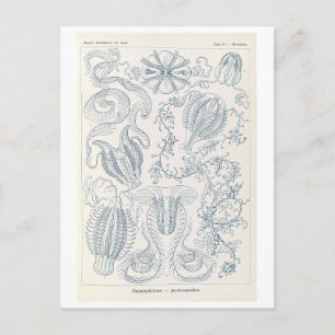 Postal Medusas peinadas vintage de Haeckel