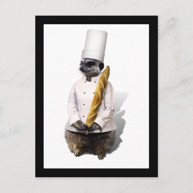 Postal Meercat Chef Con Baguette (Anverso)