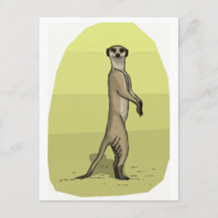 POSTAL MEERKAT