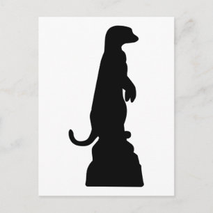 Postal Meerkat
