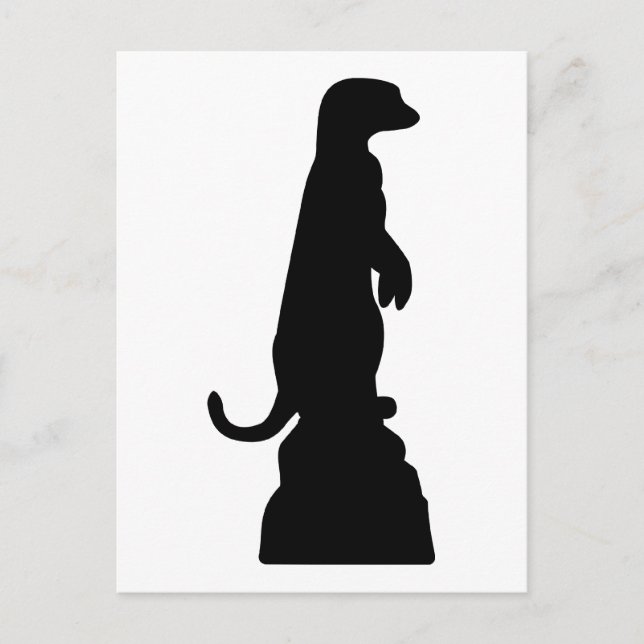 Postal Meerkat (Anverso)