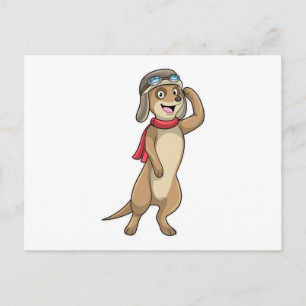 Postal Meerkat como piloto con gorra piloto