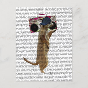 Postal Meerkat con caja de boom Getto Blaster 2