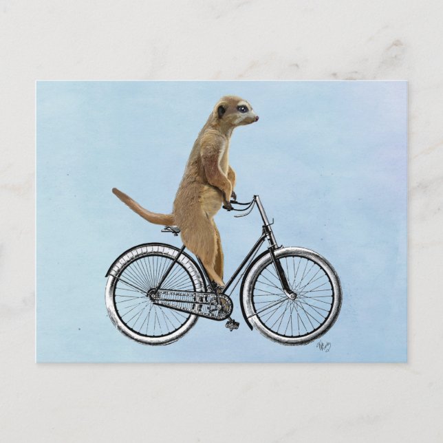 Postal Meerkat en bicicleta 2 (Anverso)